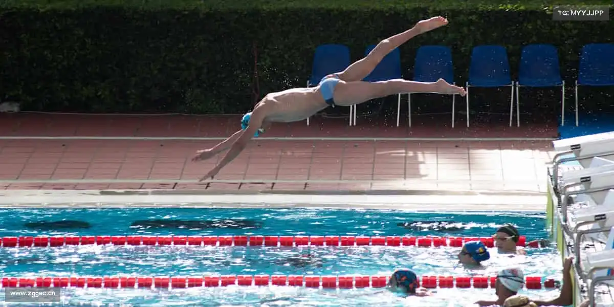 为什么选择我们